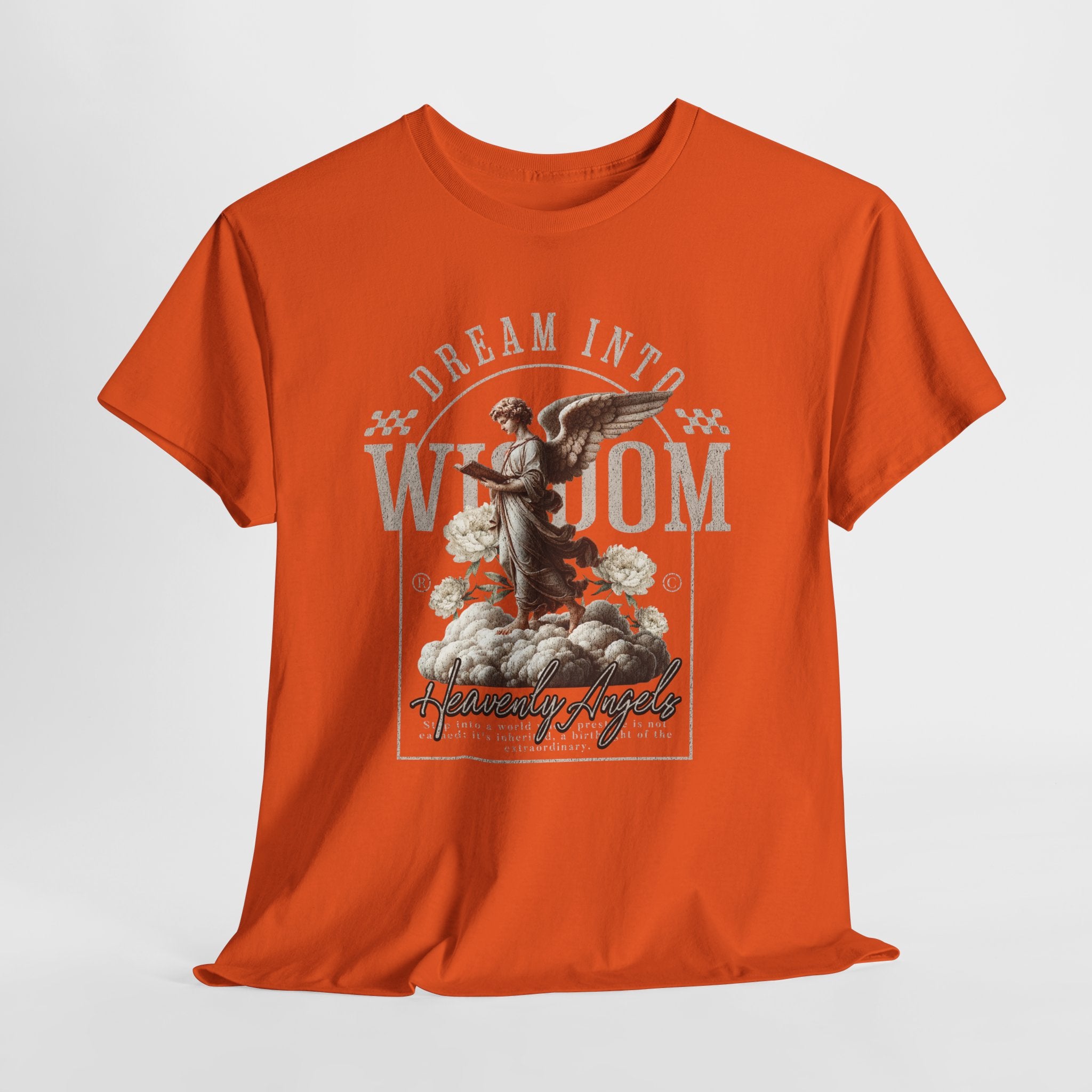 "Dream into Wisdom" - Heavenly Angels T-Shirt Design