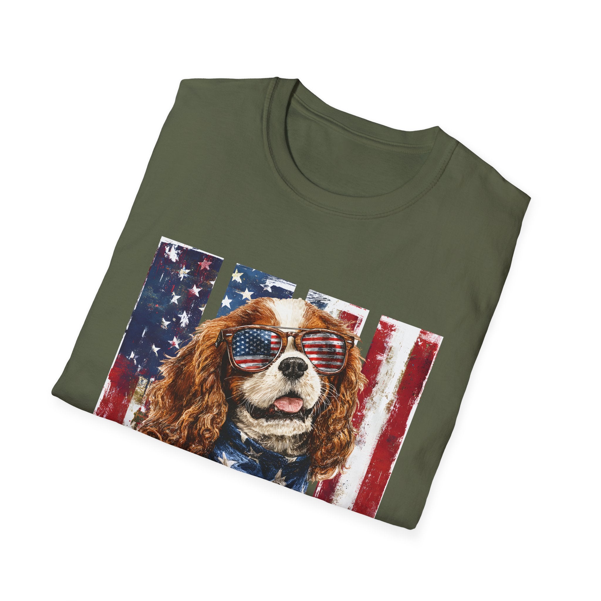 Stars, Stripes & Cavalier Pride