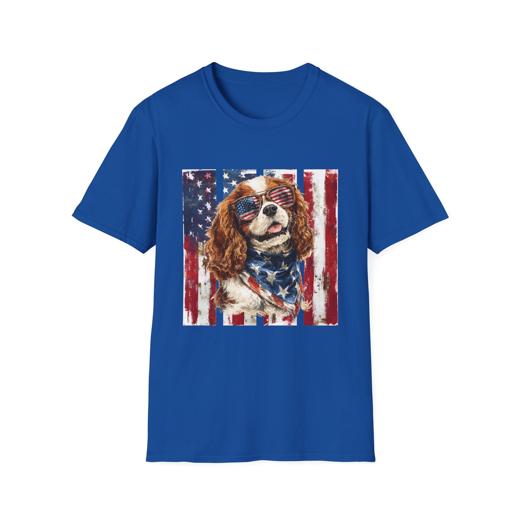 Stars, Stripes & Cavalier Pride