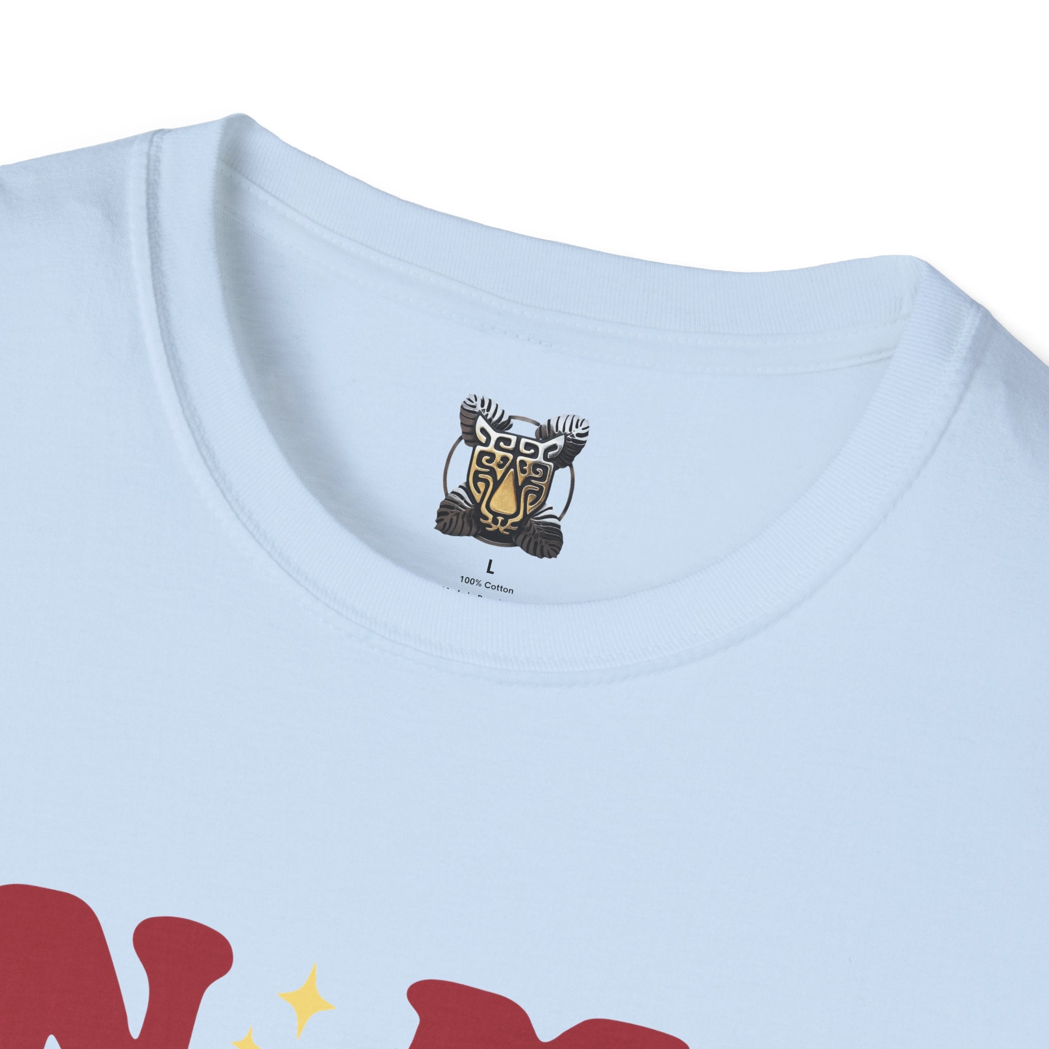 Cool Aunt T-Shirt – “In My Cool Aunt Era” Fun Auntie Gift Tee for Birthdays, Family Gatherings, and Everyday Wear