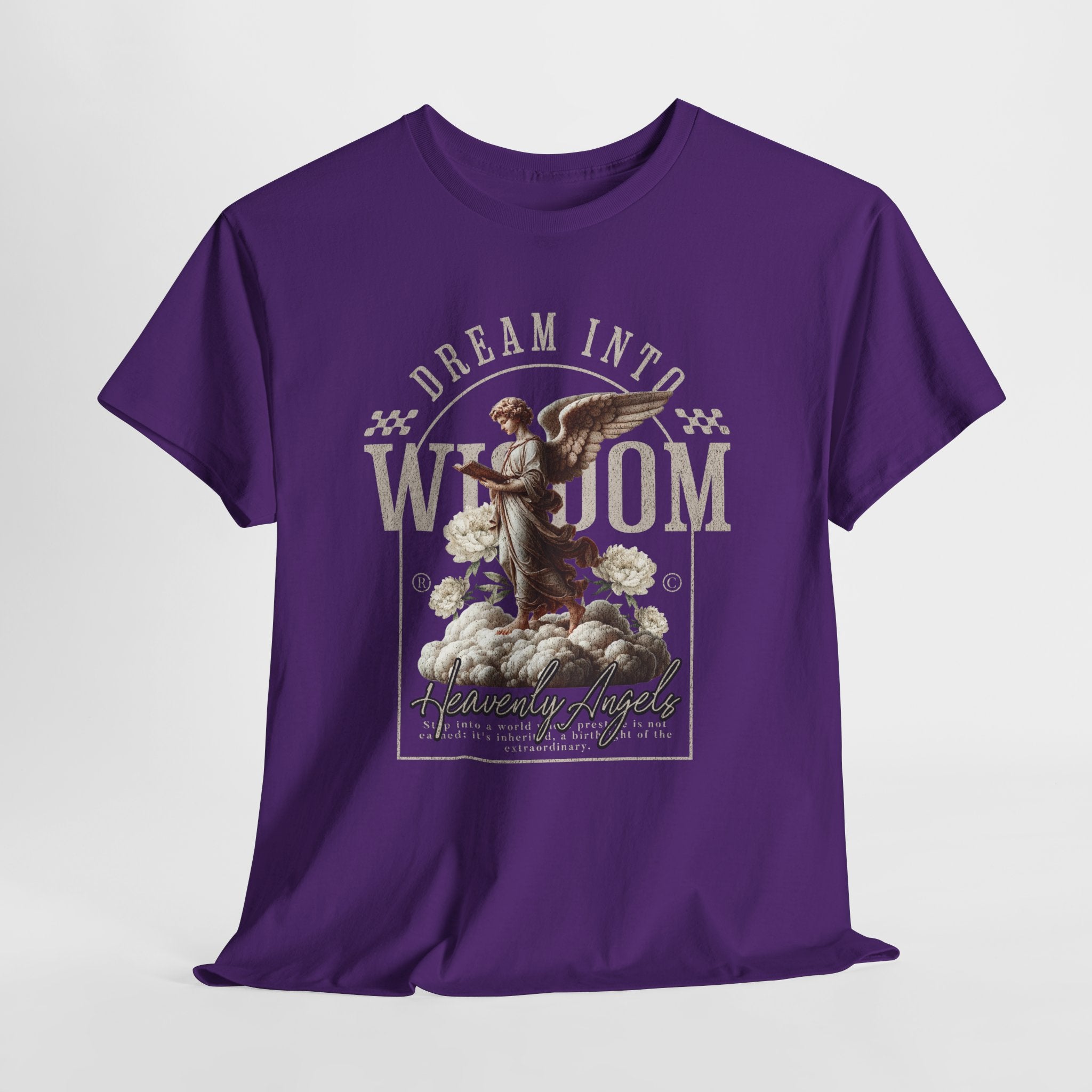 "Dream into Wisdom" - Heavenly Angels T-Shirt Design