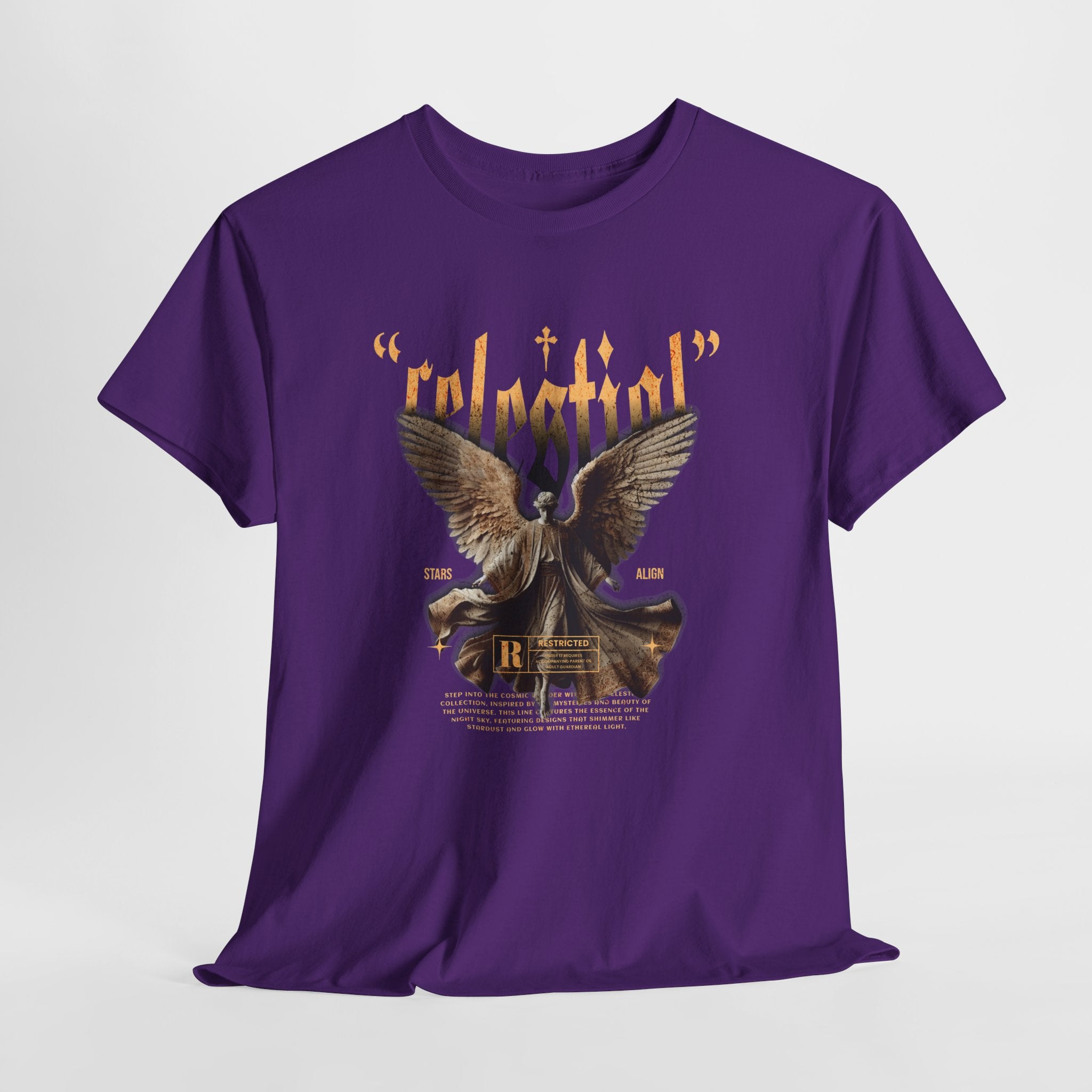 "Celestial Angel" - Divine Art & Streetwear Design