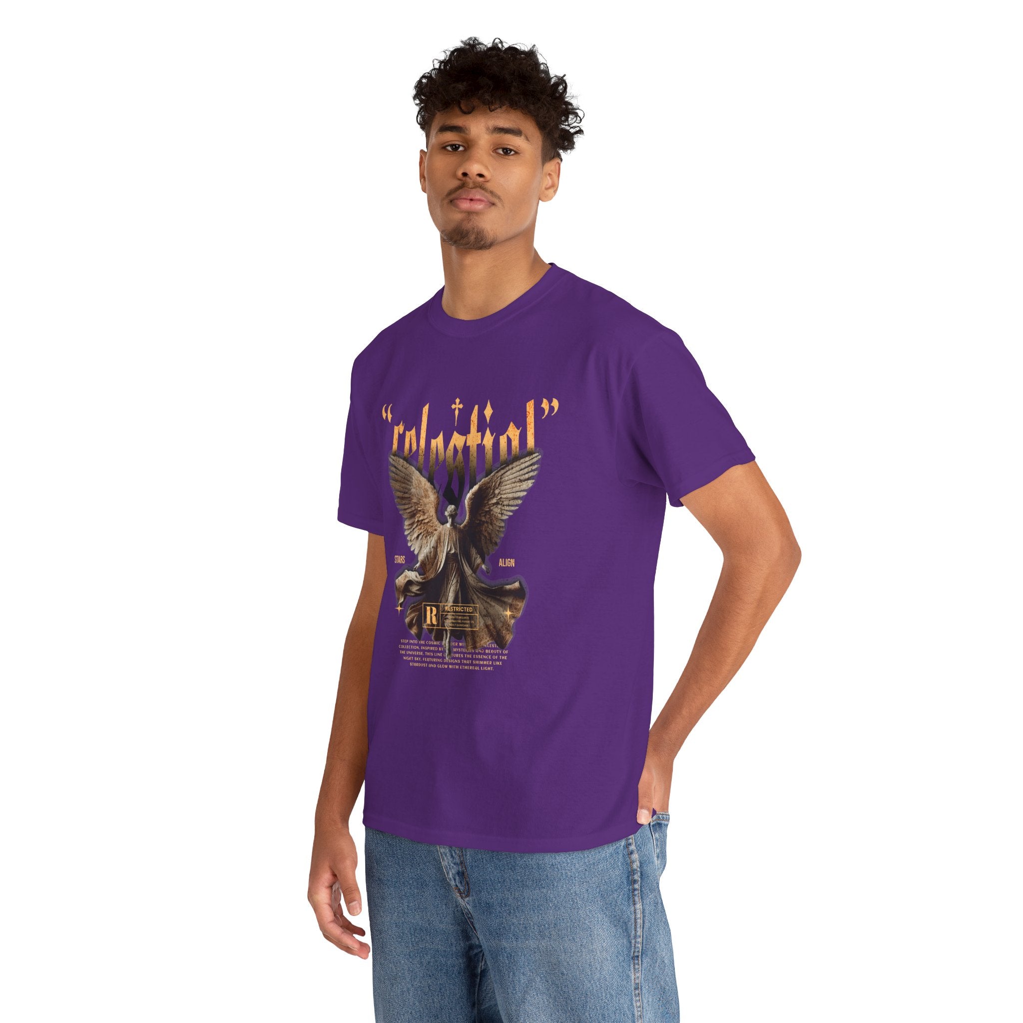 "Celestial Angel" - Divine Art & Streetwear Design
